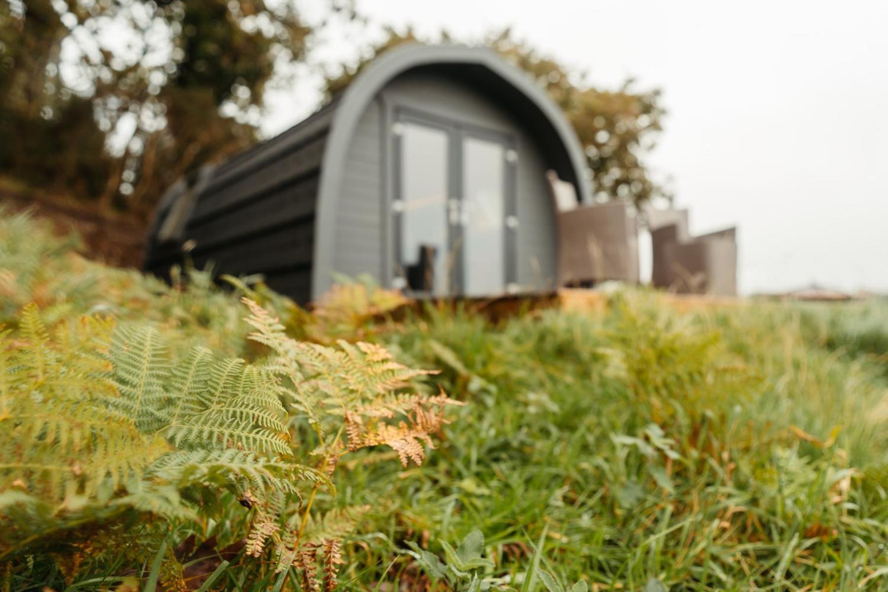 Cefn Crib Cabins Machynlleth Ngoại thất bức ảnh